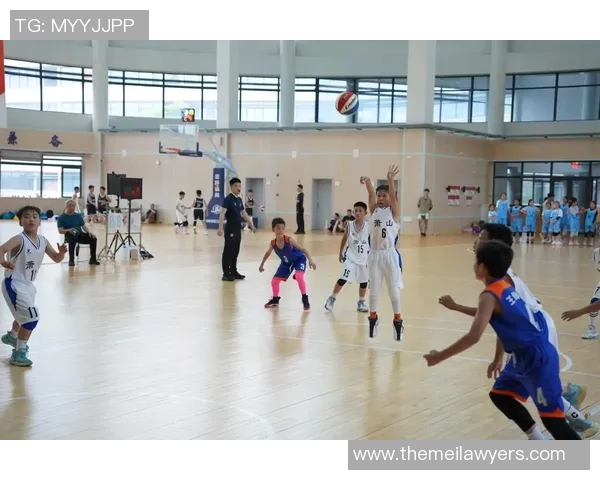 杭州篮球队心理素质提升之路：热议背后的训练与挑战